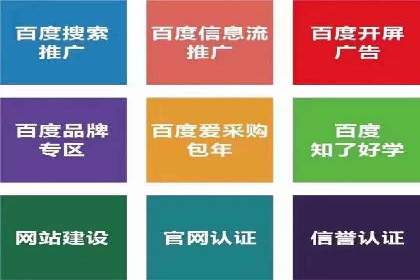 SEM公司成功案例分享：搜索引擎优化的力量